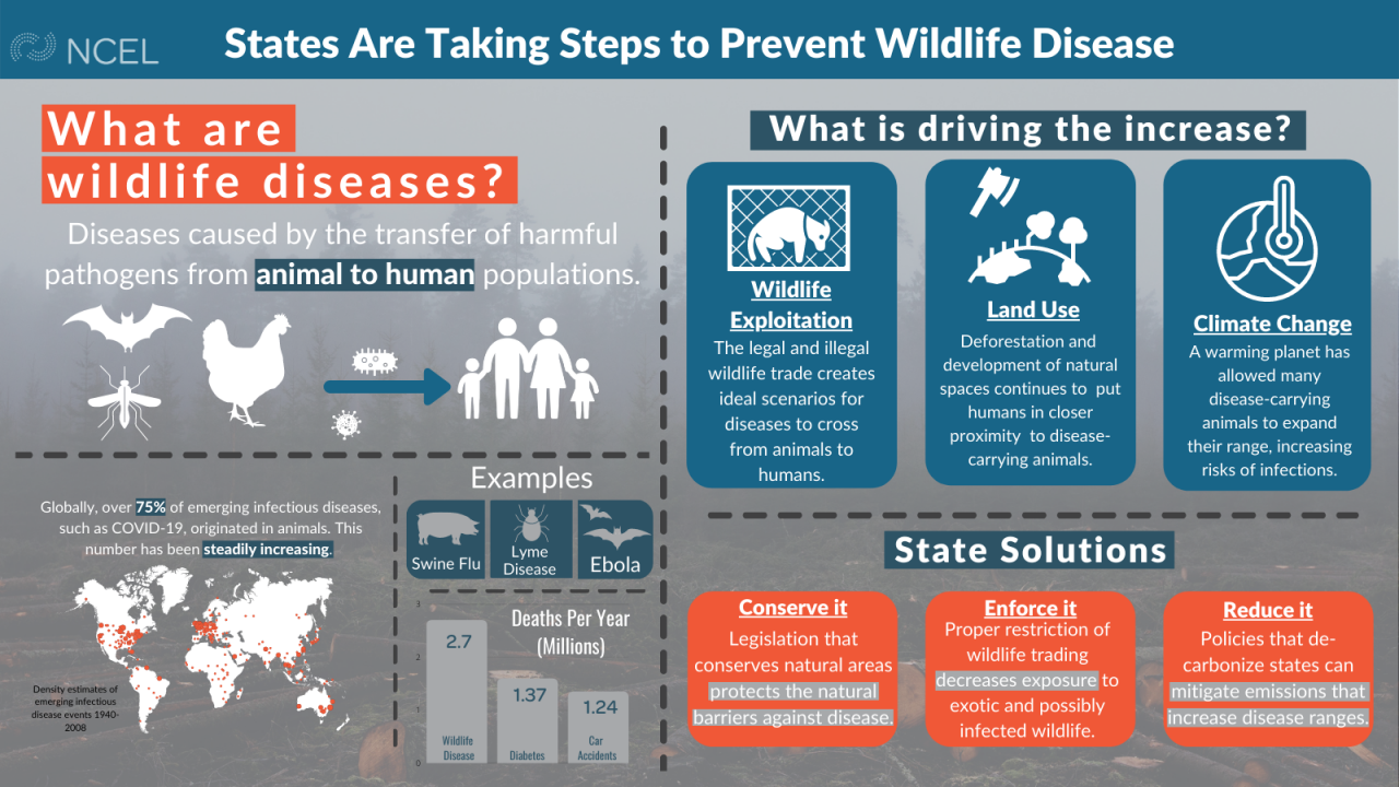 States Working To Prevent Spread of Wildlife Diseases National Caucus