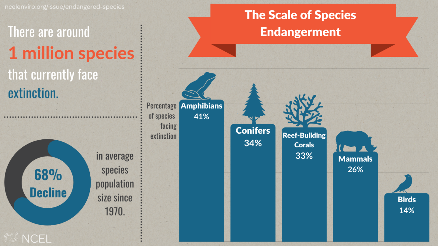 The Scale of Species Endangerment National Caucus of Environmental