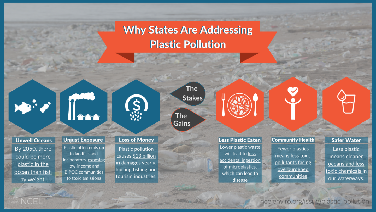 Why States Are Addressing Plastic Pollution 