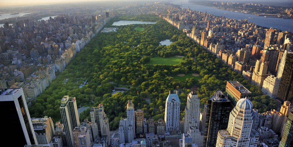 New York’s “Relates to Setting a Conservation Goal for the State ...